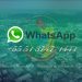 Contate a Câmara pelo WhatsApp!!