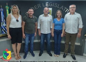 Comissão Representativa que atuará durante o recesso parlamentar no mês de janeiro de 2022.