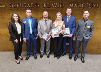 Vereadores articulam novos recursos para Arroio do Tigre na Capital Federal