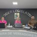Sessão do Legislativo de Arroio do Tigre aprova créditos e contratações temporárias