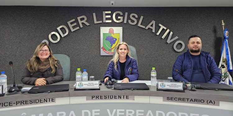 Vereadores aprovam projetos para contratação de profissionais e reforço na alfabetização